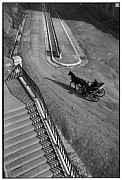 Marseille (Horse)