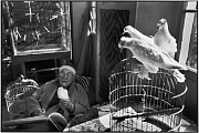 Matisse