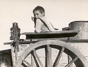 algarve boy on cart .jpeg