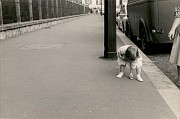 girl and toy car