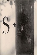 Paris (spiderweb)