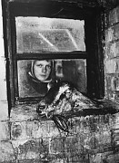 7.farmstead dreams goat