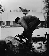 village scene (man by pig corpse)2