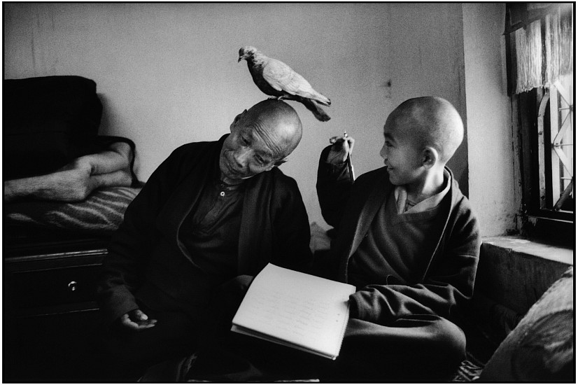 Martine FRANCK, Tulku Khentrol Ladro Rabsol with His tutor Llagyel in the Shechen Monastery, Bodnath, Nepal
1996, Gelatin Silver Print
