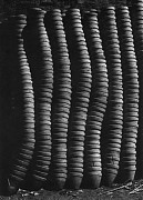 flower pots.jpeg