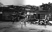 kids and shacks